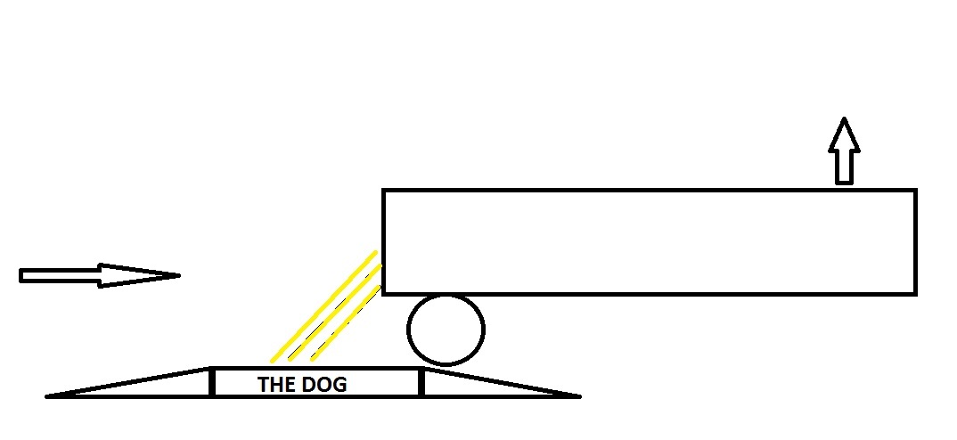 Truck DOg